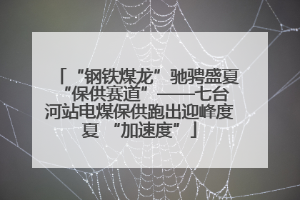 “钢铁煤龙”驰骋盛夏 “保供赛道”——七台河站电煤保供跑出迎峰度夏 “加速度”
