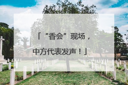 “香会”现场，中方代表发声！
