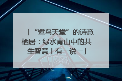 “鹭鸟天堂”的诗意栖居：绿水青山中的共生智慧丨有一说一