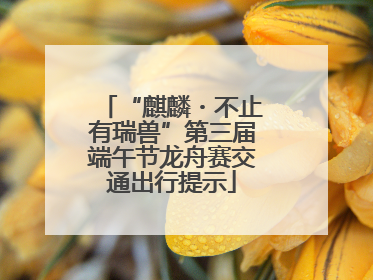 “麒麟・不止有瑞兽”第三届端午节龙舟赛交通出行提示