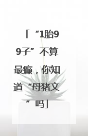 “1胎99子”不算最癫，你知道“母猪文”吗