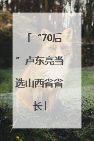 “70后”卢东亮当选山西省省长