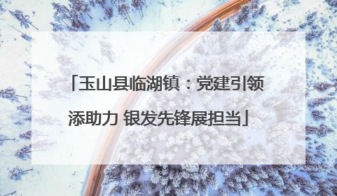 玉山县临湖镇：党建引领添助力 银发先锋展担当