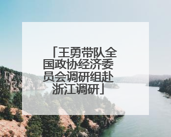 王勇带队全国政协经济委员会调研组赴浙江调研