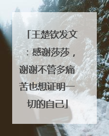 王楚钦发文：感谢莎莎，谢谢不管多痛苦也想证明一切的自己
