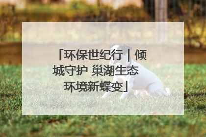 环保世纪行｜倾城守护 巢湖生态环境新蝶变