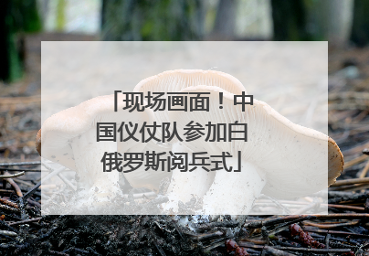 现场画面！中国仪仗队参加白俄罗斯阅兵式
