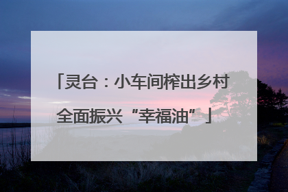 灵台：小车间榨出乡村全面振兴“幸福油”