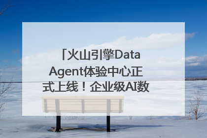 火山引擎Data Agent体验中心正式上线！企业级AI数据专家触手可及