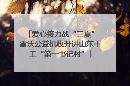 爱心接力战“三夏” 雷沃公益机收开进山东重工“第一书记村”