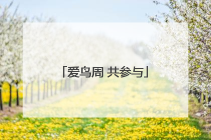 爱鸟周 共参与