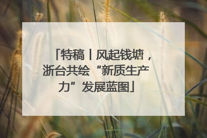 特稿丨风起钱塘，浙台共绘“新质生产力”发展蓝图