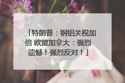 特朗普：钢铝关税加倍 欧盟加拿大：强烈遗憾！强烈反对！