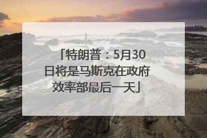特朗普：5月30日将是马斯克在政府效率部最后一天