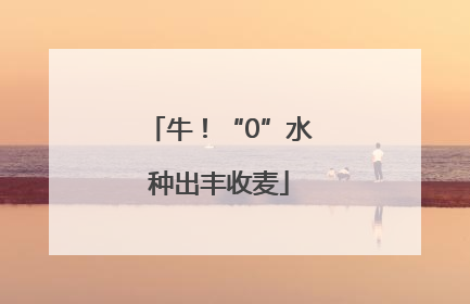 牛！“0”水种出丰收麦