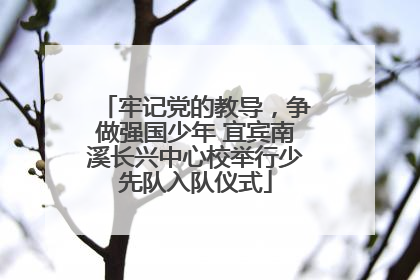 牢记党的教导，争做强国少年 宜宾南溪长兴中心校举行少先队入队仪式