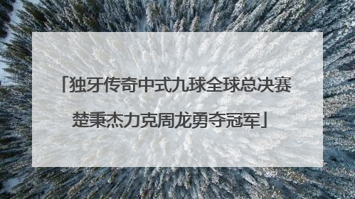 独牙传奇中式九球全球总决赛 楚秉杰力克周龙勇夺冠军
