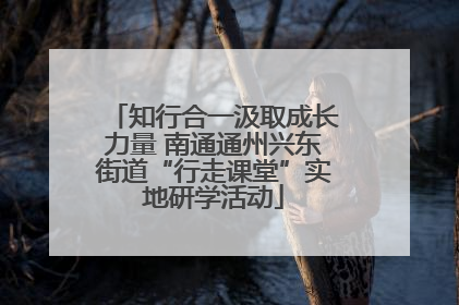 知行合一汲取成长力量 南通通州兴东街道“行走课堂”实地研学活动
