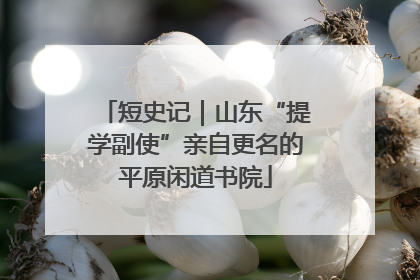 短史记｜山东“提学副使”亲自更名的平原闲道书院