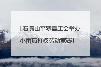石嘴山平罗县工会举办小番茄打杈劳动竞赛