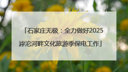 石家庄无极：全力做好2025滹沱河畔文化旅游季保电工作