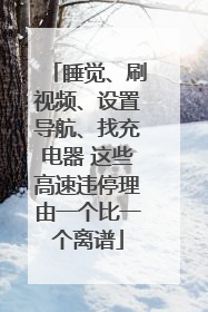 睡觉、刷视频、设置导航、找充电器 这些高速违停理由一个比一个离谱