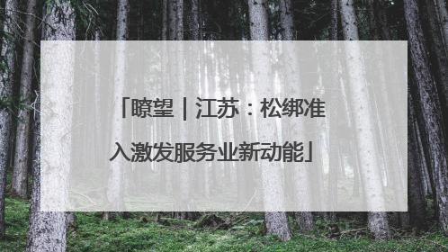 瞭望｜江苏：松绑准入激发服务业新动能
