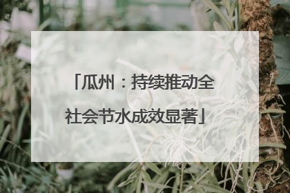 瓜州：持续推动全社会节水成效显著