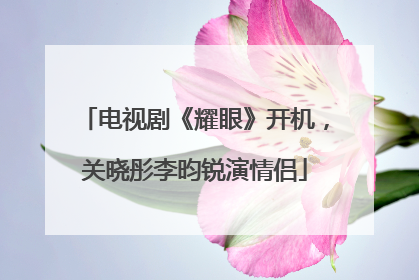 电视剧《耀眼》开机，关晓彤李昀锐演情侣