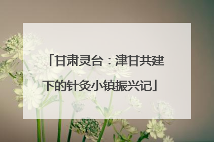甘肃灵台：津甘共建下的针灸小镇振兴记