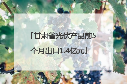 甘肃省光伏产品前5个月出口1.4亿元