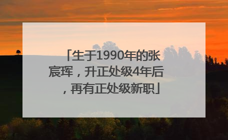 生于1990年的张宸珲，升正处级4年后，再有正处级新职