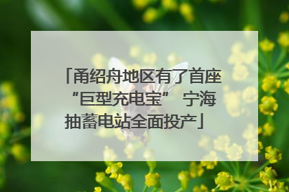 甬绍舟地区有了首座“巨型充电宝” 宁海抽蓄电站全面投产