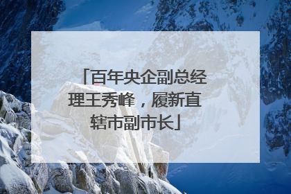 百年央企副总经理王秀峰，履新直辖市副市长
