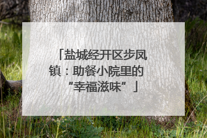盐城经开区步凤镇：助餐小院里的“幸福滋味”