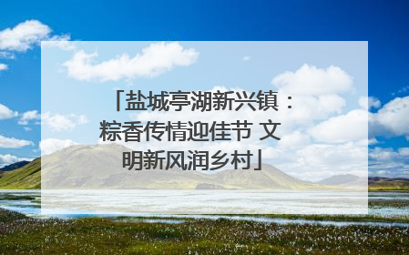 盐城亭湖新兴镇：粽香传情迎佳节 文明新风润乡村