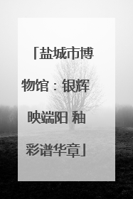 盐城市博物馆：银辉映端阳 釉彩谱华章