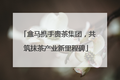 盒马携手贵茶集团，共筑抹茶产业新里程碑