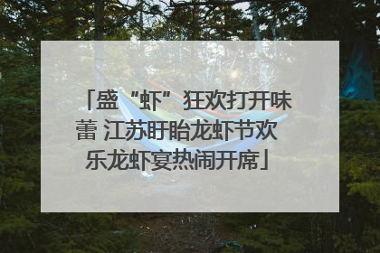 盛“虾”狂欢打开味蕾 江苏盱眙龙虾节欢乐龙虾宴热闹开席