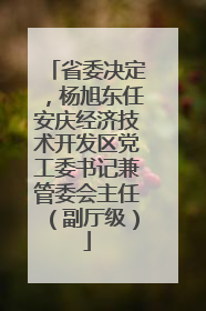 省委决定，杨旭东任安庆经济技术开发区党工委书记兼管委会主任（副厅级）