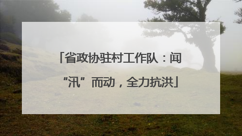 省政协驻村工作队：闻“汛”而动，全力抗洪