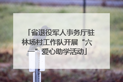 省退役军人事务厅驻林场村工作队开展“六一”爱心助学活动
