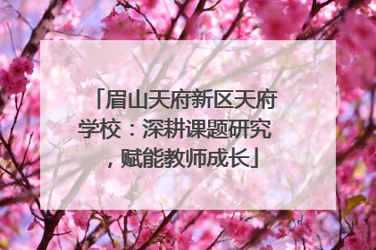 眉山天府新区天府学校：深耕课题研究，赋能教师成长