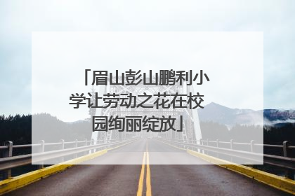 眉山彭山鹏利小学让劳动之花在校园绚丽绽放