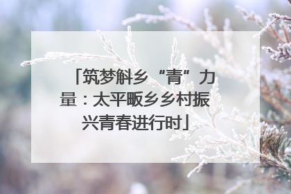 筑梦斛乡“青”力量：太平畈乡乡村振兴青春进行时