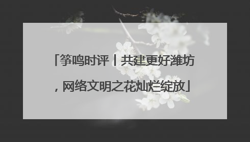 筝鸣时评丨共建更好潍坊，网络文明之花灿烂绽放