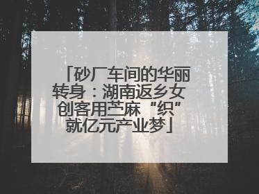 砂厂车间的华丽转身：湖南返乡女创客用苎麻“织”就亿元产业梦