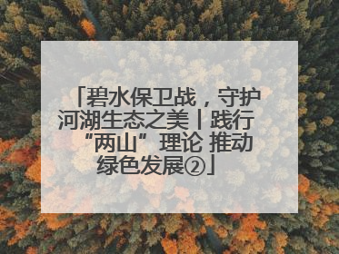 碧水保卫战，守护河湖生态之美丨践行“两山”理论 推动绿色发展②