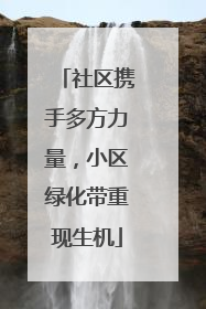 社区携手多方力量，小区绿化带重现生机