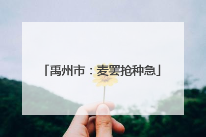 禹州市：麦罢抢种急